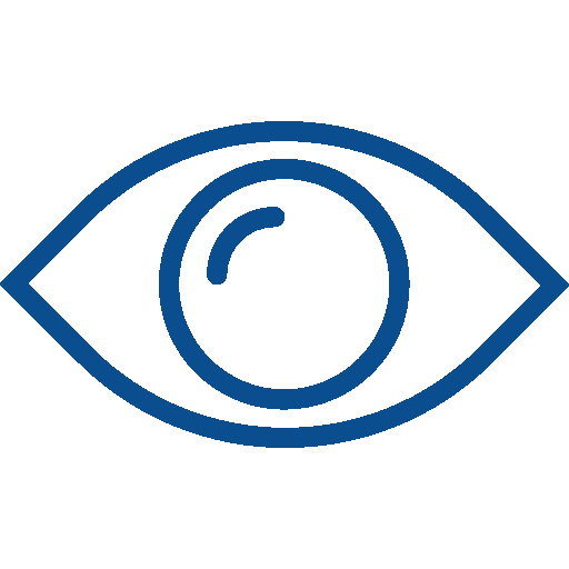 Vision Vision