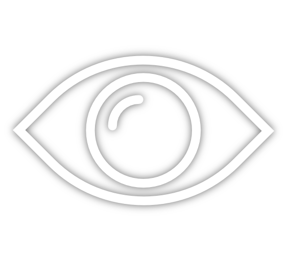 Vision Vision